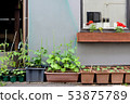 Home garden 53875789