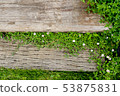 Garden flowers 53875831
