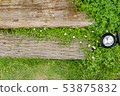 Garden flowers 53875832