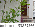 Entrance and garden tree 53875866