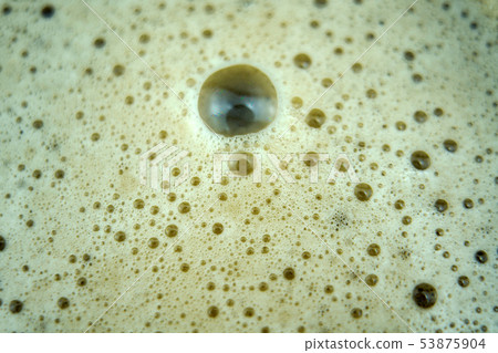 Full beer, cool beer 53875904