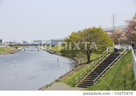 足立區鹿濱:春季芝川的最低點 足立區鹿濱:春季芝川的最低點 53875974