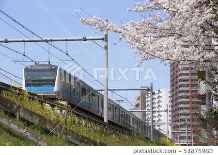 春季京濱東北線E233系列車(埼玉縣川口市) 春季京濱東北線E233系列車(埼玉縣川口市) 53875980