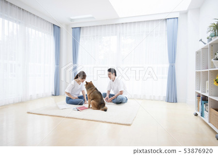 和狗一起生活 53876920