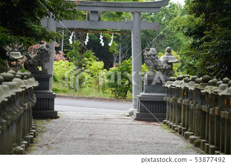 Return way approach Torii lantern 53877492