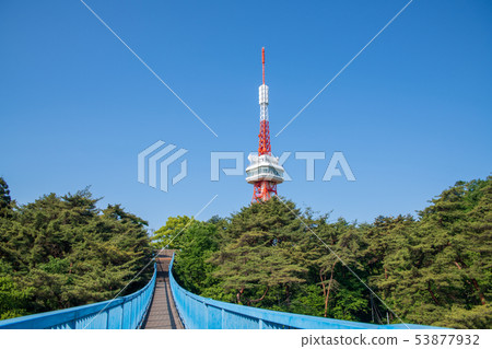 Yawatayama Park Adventure Bridge Utsunomiya Tower Tochigi Prefecture 53877932