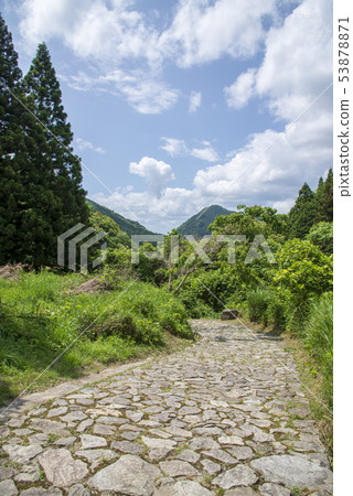 Hagi returns Hagi returns 53878871