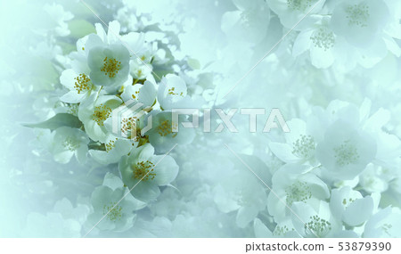 Soft light turquoise floral background. Flowers Soft light turquoise floral background. Flowers 53879390