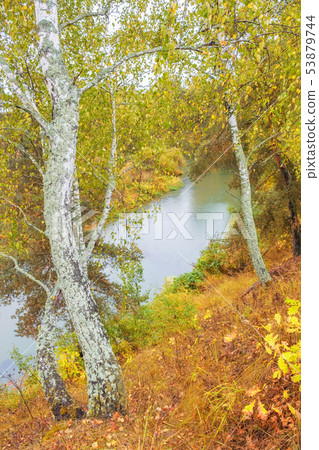 Autumn park with river 53879744