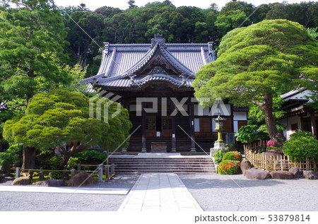 修善寺 修善寺 53879814