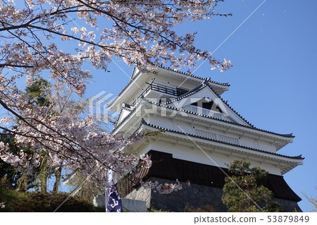Kamiyama castle and cherry blossoms Kamiyama castle and cherry blossoms 53879849