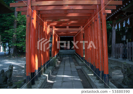 Utsunomiya Futarasan Shrine Hatsumata Inari Shrine Shimononokuni Ichinomiya Shichigi Prefecture Utsunomiya Futarasan Shrine Hatsumata Inari Shrine Shimononokuni Ichinomiya Shichigi Prefecture 53880390