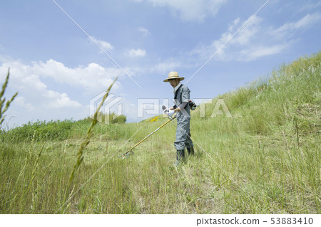 Weeding image, weeding image 53883410