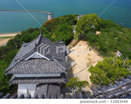 唐津城（天文台） 53883646