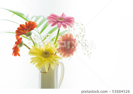 Flowers in a vase 53884526