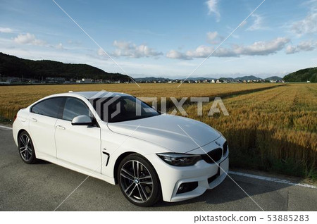 Wheat field and BMW 53885283