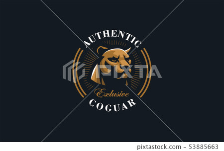 The image of a coguar or panter. The image of a coguar or panter. 53885663