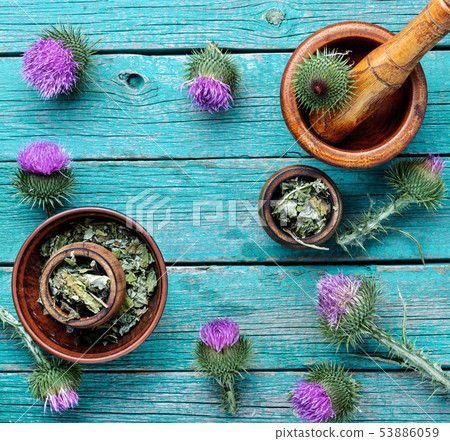 Herbal medicine and homeopathy Herbal medicine and homeopathy 53886059
