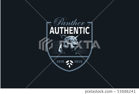 The image of a coguar or panter. 53886241