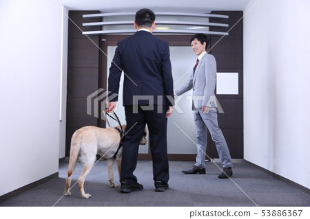 Guidance of the visually impaired 01 53886367
