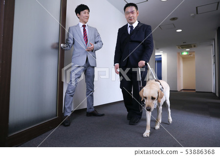 Guidance of the visually impaired 02 53886368