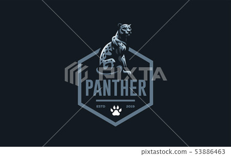 The image of a coguar or panter. The image of a coguar or panter. 53886463