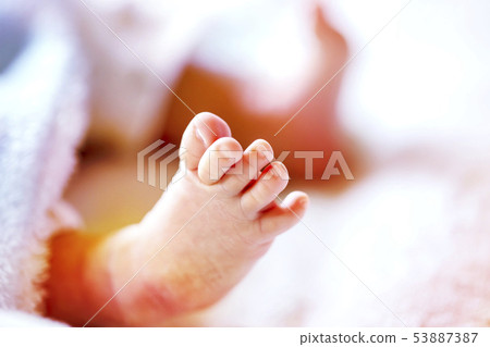 Two weeks old baby foot Two weeks old baby foot 53887387