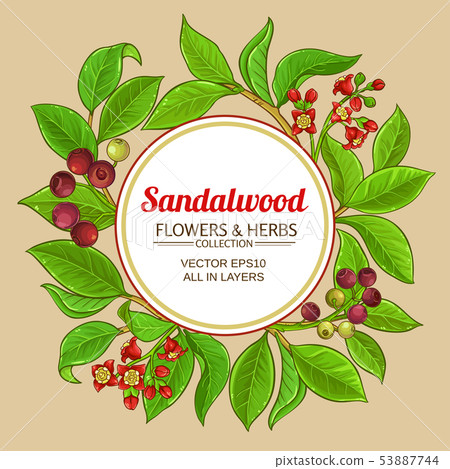 Sandalwood Vector Frame Stock Illustration