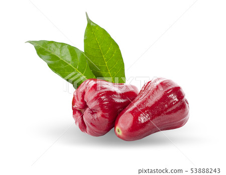 Rose apples isolated on white background. Rose apples isolated on white background. 53888243