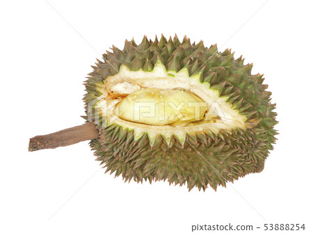 durian isolated on white background 53888254