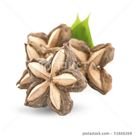 Sacha inchi peanut seed isolate on white Sacha inchi peanut seed isolate on white 53888269