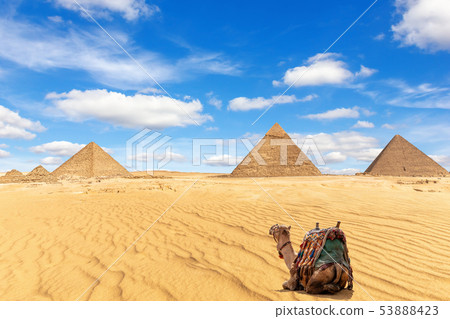 The Pyramids of Giza and a camel in the sand, Egypt The Pyramids of Giza and a camel in the sand, Egypt 53888423
