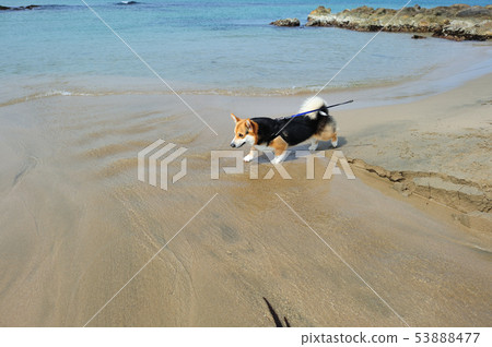 沿著邊緣走 53888477