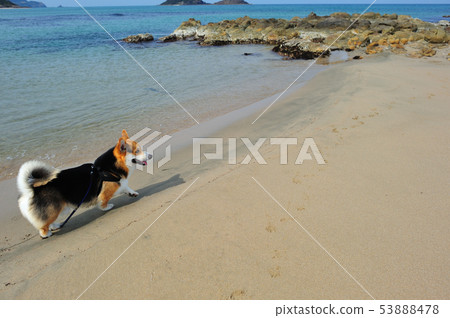 沿著邊緣走 53888478