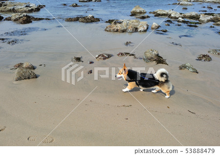 沿著邊緣走 53888479