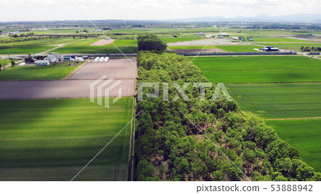 Aerial view Hokkaido Tobetsu majestic land field windbreak forest Aerial view Hokkaido Tobetsu majestic land field windbreak forest 53888942