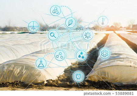 Biotechnology in the agro-cultural industry.  53889081