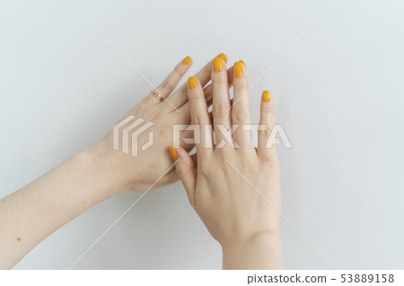 女手 53889158