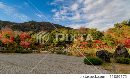 Tenryu籍寺廟Soogen池塘秋葉在秋天從事園藝 Tenryu籍寺廟Soogen池塘秋葉在秋天從事園藝 53889573