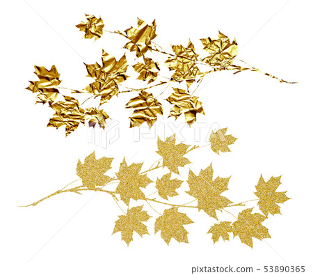 Set of gold textured maple twigs Set of gold textured maple twigs 53890365