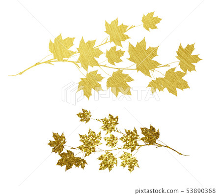 Golden textured autumn maple twigs Golden textured autumn maple twigs 53890368