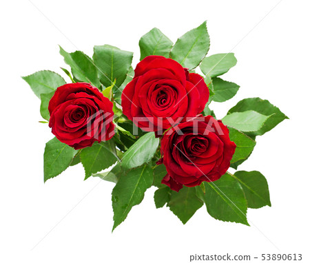 Three red rose flowers bouquet Three red rose flowers bouquet 53890613