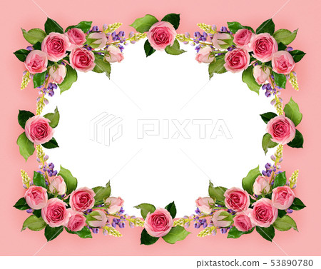 Pink rose flowers and buds frame Pink rose flowers and buds frame 53890780