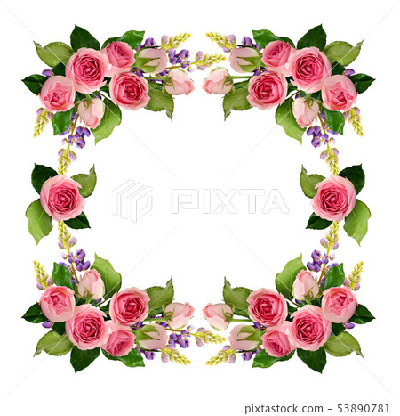 Pink rose flowers and buds frame Pink rose flowers and buds frame 53890781