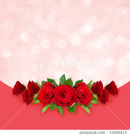 Red rose flowers background Red rose flowers background 53890813