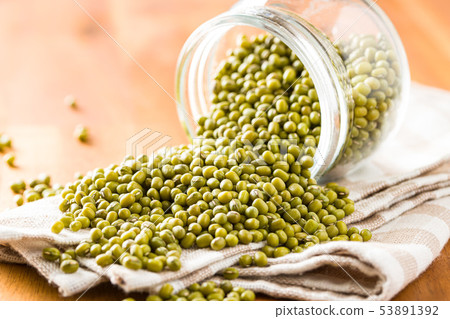Green mung beans. 53891392