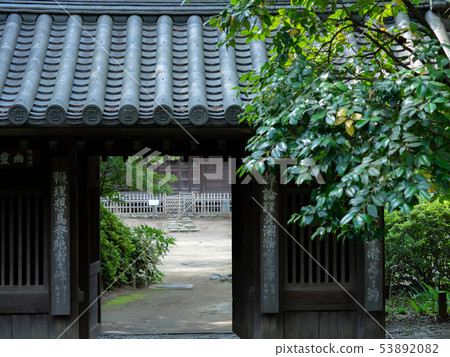 東京中野區哲人公園Tetsurimon June 東京中野區哲人公園Tetsurimon June 53892082