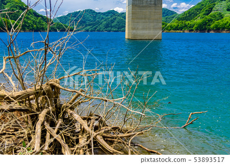 Treasure Lake Treasure Lake 53893517