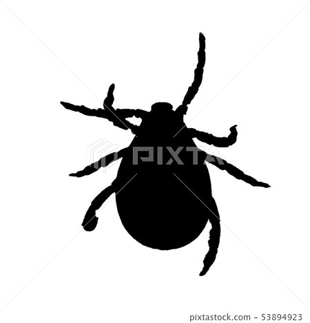 Black silhouette of a mite isolated on a white 53894923
