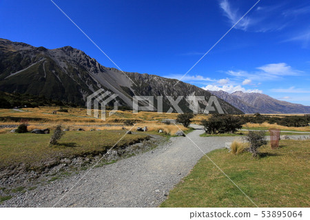 New Zealand Cook Mountain Sheep Trail New Zealand Cook Mountain Sheep Trail 53895064